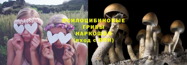 mdma Богданович