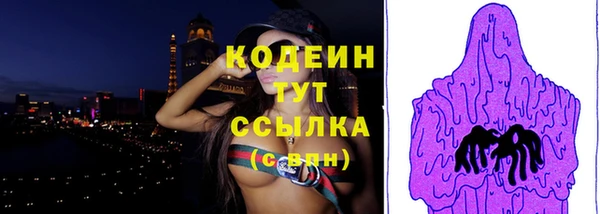 spice Богородицк
