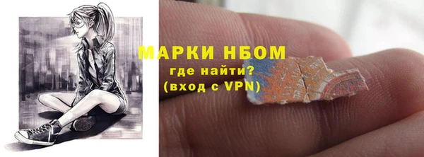 spice Богородицк