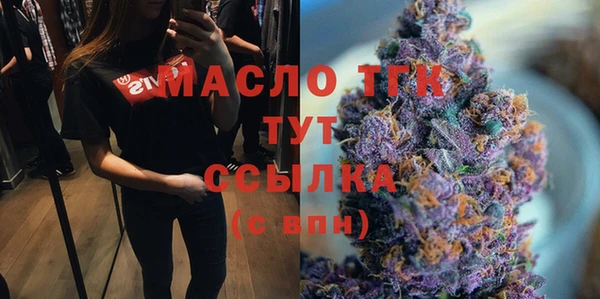 spice Богородицк