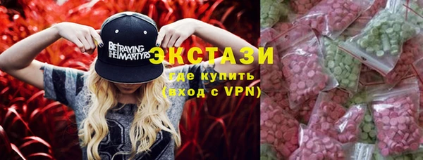 spice Богородицк