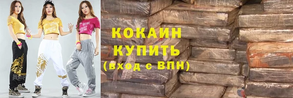 spice Богородицк