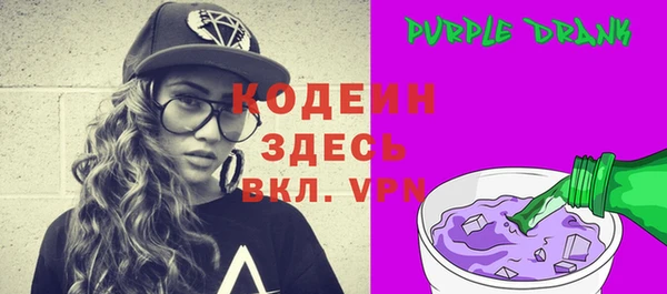 spice Богородицк