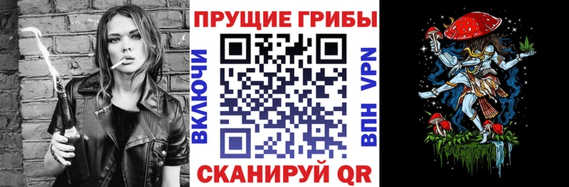 Купить где  Клинцы  Псилоцибиновые грибы Psilocybine cubensis 